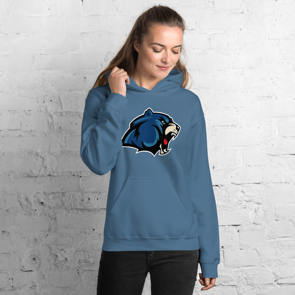 GainZ University Unisex Hoodie