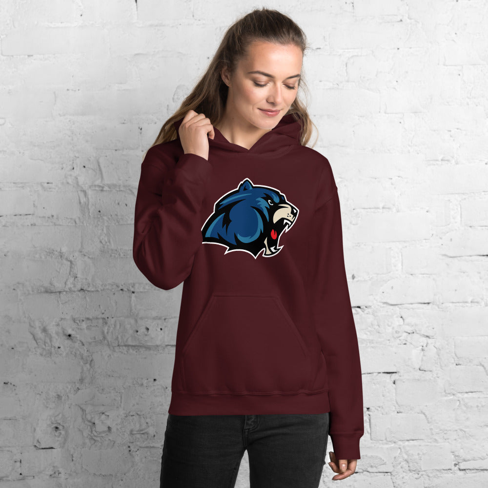 GainZ University Unisex Hoodie