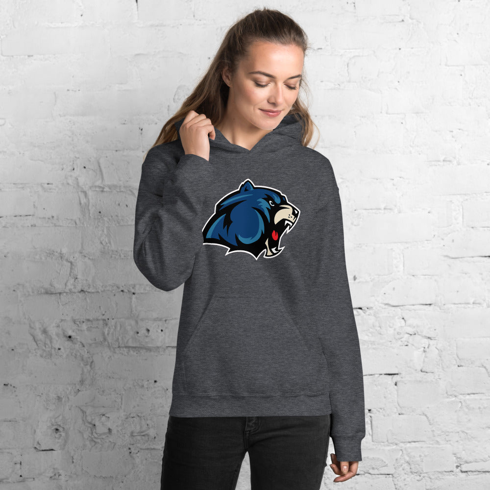 GainZ University Unisex Hoodie